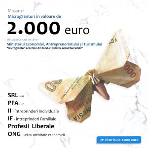Accesare Măsura 1 - Microgranturi în valoare de 2.000 euro