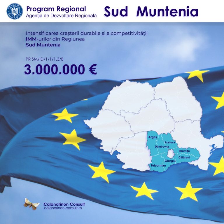 Intensificarea creșterii durabile și a competitivității IMM-urilor din regiunea Sud-Muntenia